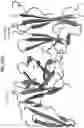 Fig. 71 - Anti-MIC antibodies and methods of use