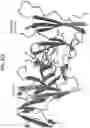 Fig. 72 - Anti-MIC antibodies and methods of use