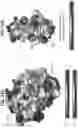 Fig. 74 - Anti-MIC antibodies and methods of use