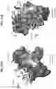 Fig. 76 - Anti-MIC antibodies and methods of use