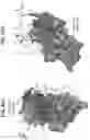 Fig. 79 - Anti-MIC antibodies and methods of use