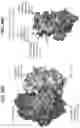 Fig. 80 - Anti-MIC antibodies and methods of use