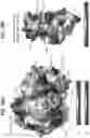 Fig. 85 - Anti-MIC antibodies and methods of use