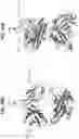 Fig. 86 - Anti-MIC antibodies and methods of use