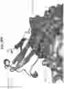 Fig. 89 - Anti-MIC antibodies and methods of use