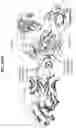 Fig. 92 - Anti-MIC antibodies and methods of use