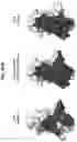 Fig. 93 - Anti-MIC antibodies and methods of use