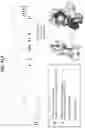 Fig. 95 - Anti-MIC antibodies and methods of use