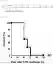 Fig. 02 - Composition for treating fulminant acute pneumonia including CD69 antagonist