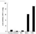 Fig. 07 - Composition for treating fulminant acute pneumonia including CD69 antagonist