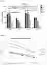 Fig. 07 - Methods of activating CD32b/c comprising administering an antibody that binds BDCA-2 (CD303)