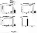 Fig. 02 - REGULATING IL-4 AND IL-13 LEVELS BY BLOCKING HIGH AFFINITY BINDING BY IL-3, IL-5 AND GM-CSF TO THEIR COMMON RECEPTOR