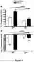 Fig. 04 - REGULATING IL-4 AND IL-13 LEVELS BY BLOCKING HIGH AFFINITY BINDING BY IL-3, IL-5 AND GM-CSF TO THEIR COMMON RECEPTOR