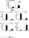 Fig. 05 - REGULATING IL-4 AND IL-13 LEVELS BY BLOCKING HIGH AFFINITY BINDING BY IL-3, IL-5 AND GM-CSF TO THEIR COMMON RECEPTOR