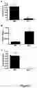 Fig. 06 - REGULATING IL-4 AND IL-13 LEVELS BY BLOCKING HIGH AFFINITY BINDING BY IL-3, IL-5 AND GM-CSF TO THEIR COMMON RECEPTOR