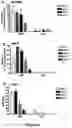 Fig. 07 - REGULATING IL-4 AND IL-13 LEVELS BY BLOCKING HIGH AFFINITY BINDING BY IL-3, IL-5 AND GM-CSF TO THEIR COMMON RECEPTOR