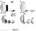Fig. 10 - REGULATING IL-4 AND IL-13 LEVELS BY BLOCKING HIGH AFFINITY BINDING BY IL-3, IL-5 AND GM-CSF TO THEIR COMMON RECEPTOR