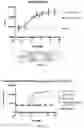Fig. 05 - OX40-binding polypeptides and uses thereof