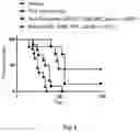 Fig. 06 - BI-SPECIFIC ACTIVATORS FOR TUMOR THERAPY