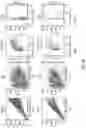 Fig. 06 - CELLS EXPRESSING A BCMA-TARGETING CHIMERIC ANTIGEN RECEPTOR, AND COMBINATION THERAPY WITH A GAMMA SECRETASE INHIBITOR