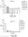 Fig. 07 - CELLS EXPRESSING A BCMA-TARGETING CHIMERIC ANTIGEN RECEPTOR, AND COMBINATION THERAPY WITH A GAMMA SECRETASE INHIBITOR