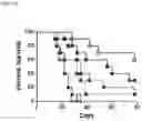 Fig. 12 - Targeted TGFβ inhibition