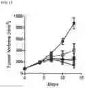 Fig. 16 - Targeted TGFβ inhibition