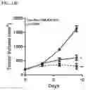 Fig. 18 - Targeted TGFβ inhibition