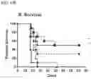 Fig. 20 - Targeted TGFβ inhibition