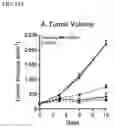 Fig. 21 - Targeted TGFβ inhibition
