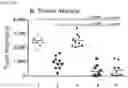 Fig. 22 - Targeted TGFβ inhibition