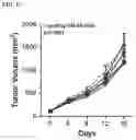 Fig. 24 - Targeted TGFβ inhibition