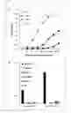 Fig. 02 - Antibody specifically binding to PAUF protein and use thereof