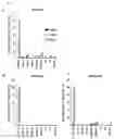 Fig. 04 - Antibody specifically binding to PAUF protein and use thereof