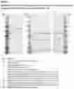 Fig. 06 - Single linker FabFv antibodies and methods of producing same