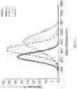 Fig. 12 - Macroporous beads