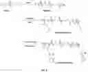 Fig. 04 - THE SYNTHESIS OF MULTIARM POLY[(R)-3-HYDROXYBUTYRATE] AND ITS DERIVATIVES
