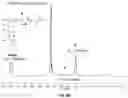Fig. 07 - THE SYNTHESIS OF MULTIARM POLY[(R)-3-HYDROXYBUTYRATE] AND ITS DERIVATIVES