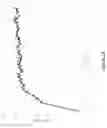 Fig. 19 - Methods and compositions for synthesizing improved silk fibers