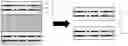 Fig. 01 - Prepreg for coreless substrate, coreless substrate and semiconductor package