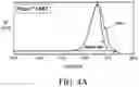 Fig. 06 - Modified resins and uses thereof