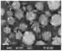 Fig. 01 - Hydrophobic surface modified aluminas and method for making thereof