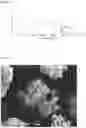 Fig. 08 - Hydrophobic surface modified aluminas and method for making thereof