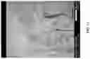Fig. 02 - Chemically Functionalized Graphene and its Applications