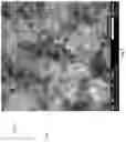 Fig. 10 - Chemically Functionalized Graphene and its Applications