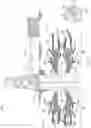 Fig. 02 - Lightweight micro-proppant