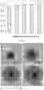 Fig. 10 - COMPOSITION AND METHOD COMPRISING OVERCOATED QUANTUM DOTS