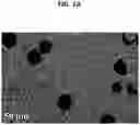 Fig. 02 - Composites with enhanced thermal conductivity and method preparing the same