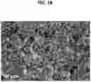 Fig. 03 - Composites with enhanced thermal conductivity and method preparing the same