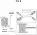 Fig. 04 - Composites with enhanced thermal conductivity and method preparing the same